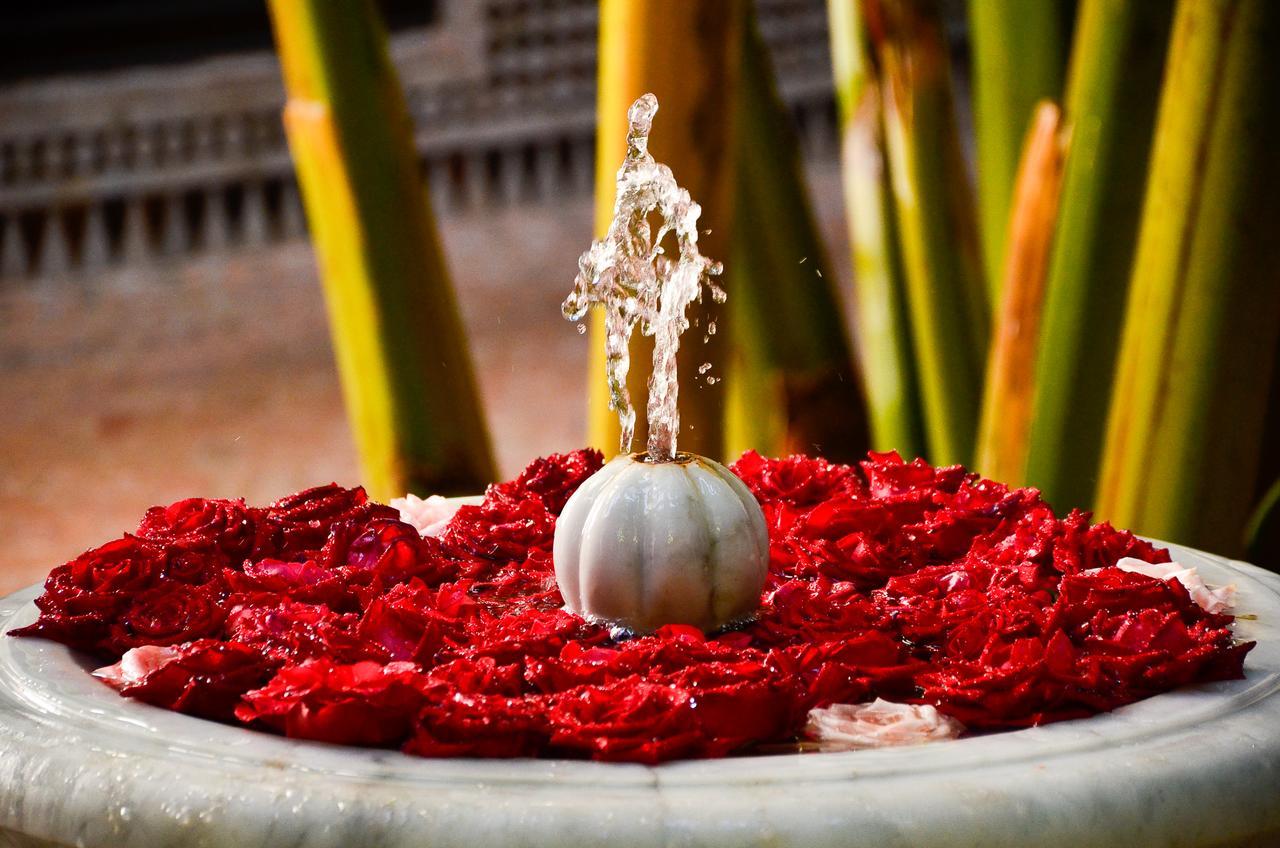 Riad Ilayka Marrakesh Extérieur photo